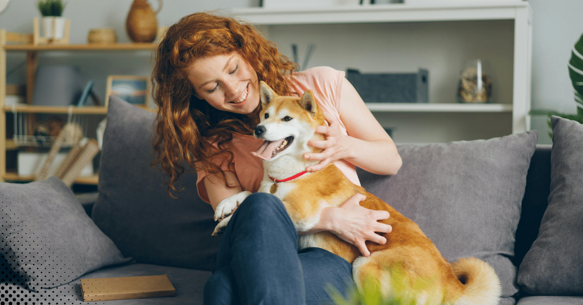 A woman lovingly playing with her dog on a couch in a cozy living room.